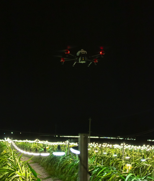 夜間水稻直播、果樹植保